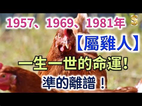 70年次屬雞五行|屬雞的五行屬什麼 揭秘「不同屬性」的屬雞人性格